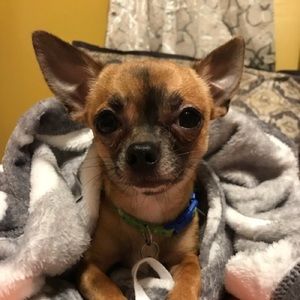 Meet your Posher, Jared